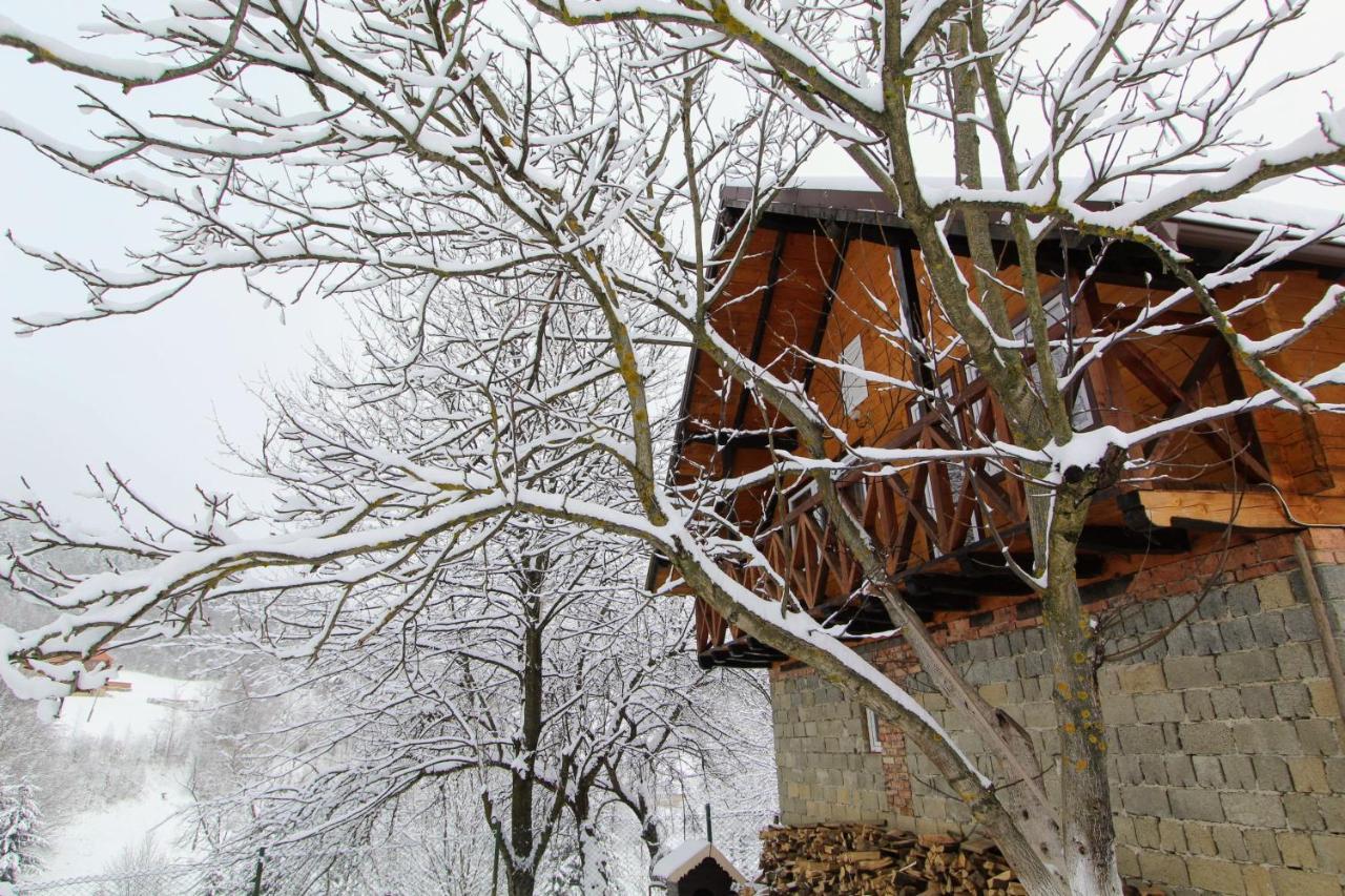 Apartament багрівчанка *
